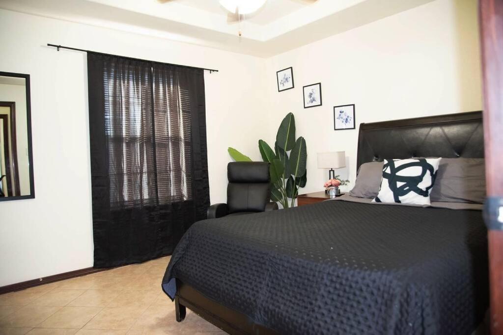 1 Min To University Utrgv 2Bd 2Bt Town Suite Эдинбург Экстерьер фото
